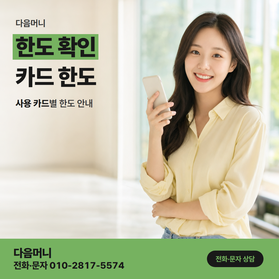 다음머니 용인카드깡 한도 확인